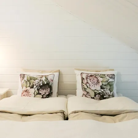 公寓 Toloppa Cozy Apartment, *